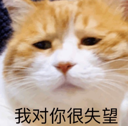 超实用橘猫聊天表情包合集
