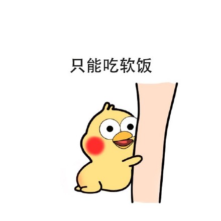 鹦鹉兄弟表情包合集来啦，斗图必备！