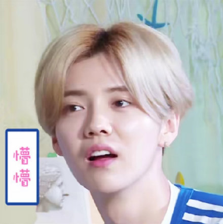 鹿晗专属聊天表情包来啦