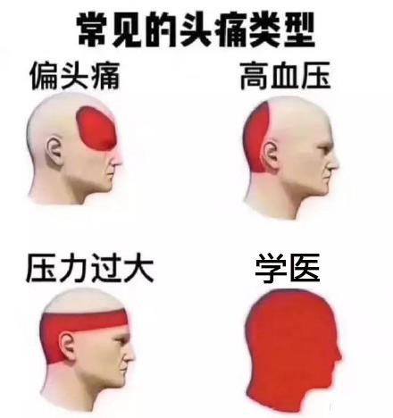 打工人、设计师看过来！这套「头疼类型」表情包火了