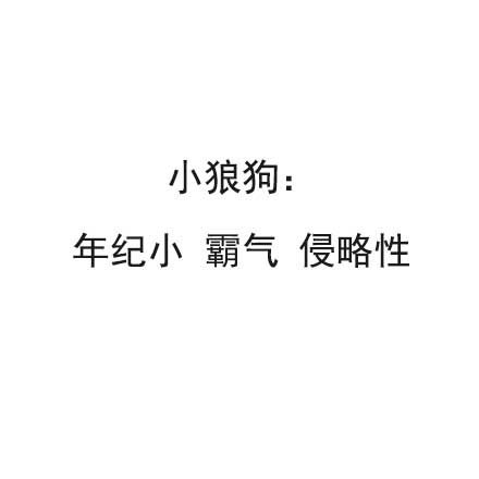 快来看看你的性格是犬系还是猫系？