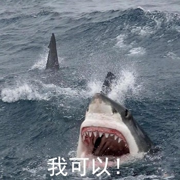 这套鲨鱼沙雕表情包，斗图时直接封神
