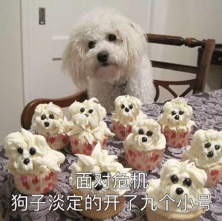 聊天斗图必备！这套可爱汪星人表情包太好用了