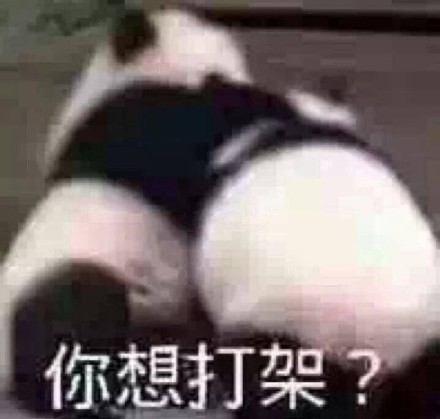 整理好的大熊猫斗图表情包合集