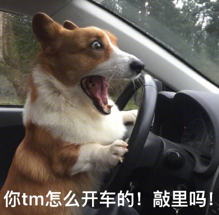 敲里吗！敲里lai lai！这套斗图表情包火了