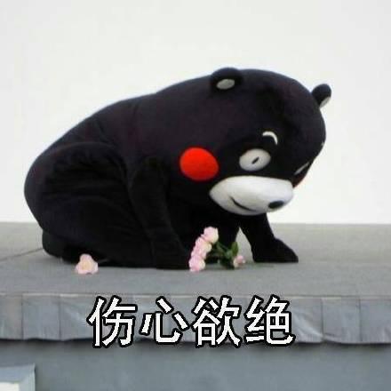 刷到同学都谈恋爱结婚了？这套熊本熊表情包太懂这种心情了