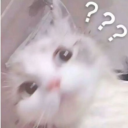 聊天斗图看这里！这套猫咪表情包太好用了