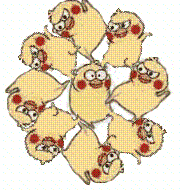 鹦鹉兄弟整活！这套暴力打斗动图太带感了