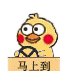 小黄鸡开车主题动图表情包合集