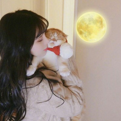 29张高清可爱抱猫女生头像 快来挑合适的用