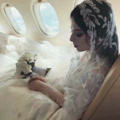 15张高清伤感风披头纱婚纱女生头像合集