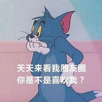 经典猫和老鼠表情包合集，斗图直接用