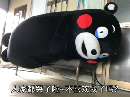 道歉用的表情包也太可爱了吧