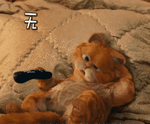 超萌卡通橘猫动图表情包合集