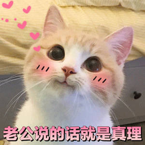 哄老公神器！这套萌系表情包直接拿捏另一半
