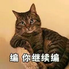 猫咪表情包合集来啦，斗图不用愁