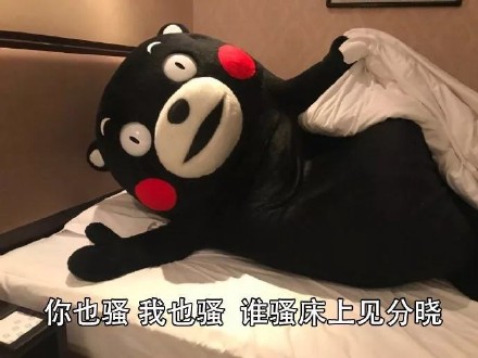 熊本熊整活撩妹撩汉表情包合集