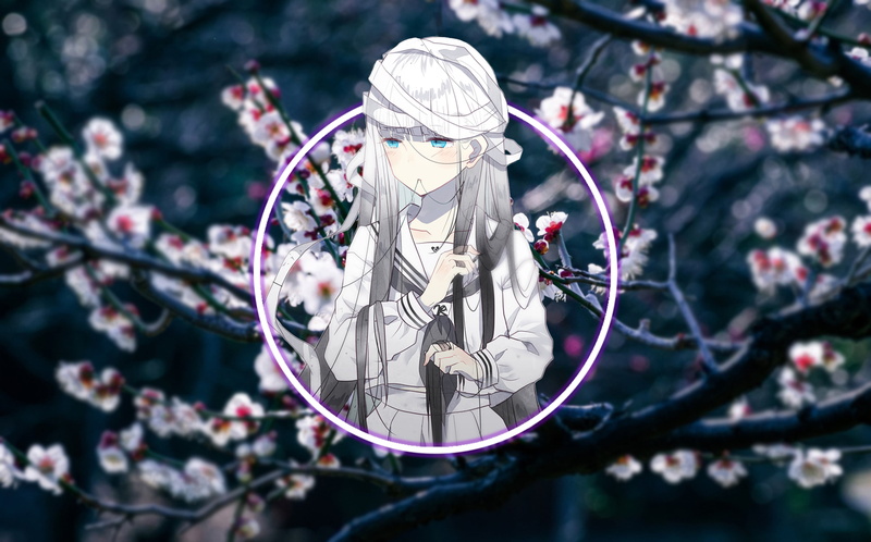 这组壁纸太绝了！动漫少女搭配画中画还有花海元素