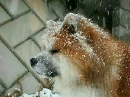 今天的情侣头像来啦！快和对象安排上