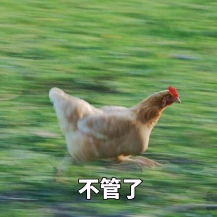 即将开学的你别慌！这套飞奔的鸡表情包完美戳中你的状态