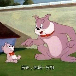 经典猫和老鼠表情包合集，斗图直接用