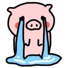 软萌猪猪表情包来啦！