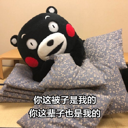 这套撩人骚话表情包，聊天用简直绝了