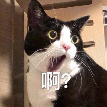 聊天斗图首选！网友最爱的喵星人表情包合集