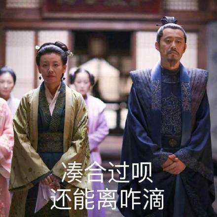 《知否》大娘子表情包合集 聊天斗图都能用