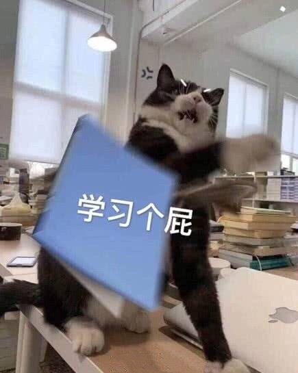 学生党考前必备！这套考试表情包直接戳中你的心巴