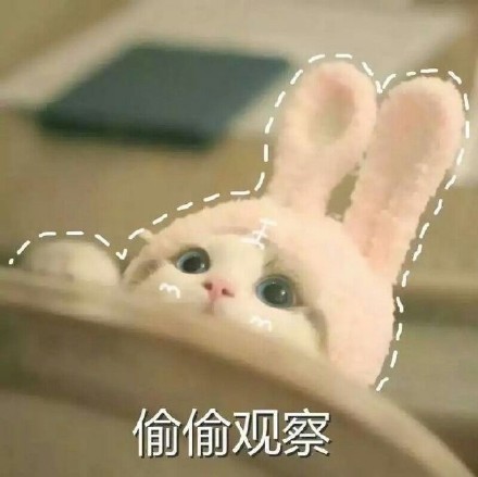这篇内容是完整的网页源码，包含了网站的所有前端代码、样式、脚本和页面结构，并非独立的新闻稿件内容。如果您需要提取其中的猫咪表情包相关内容整理成规范新闻稿，可以告诉我，我会帮您提取核心信息并按照要求重写。