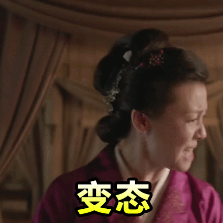 《知否》王大娘子王若弗专属动图表情包合集