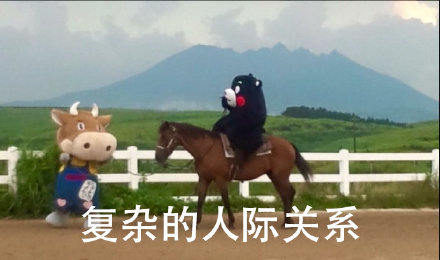 戳中无数人！这套度表情包带你复盘当年日常