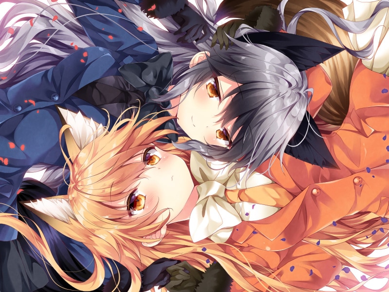 《兽娘动物园》主题壁纸 720P高清版