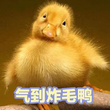 软萌小鸭鸭表情包来啦，每一张都超治愈