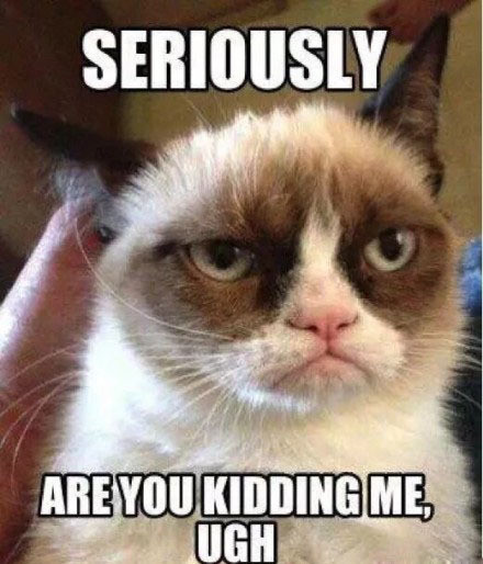 整理好的英文斗图表情包合集