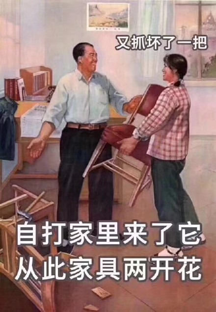 猫咪铲屎官专属表情包来啦