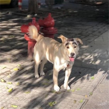 看一眼就笑喷！这些修勾长在笑点上了