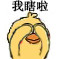 超好用的小鹦鹉捂脸表情包来啦