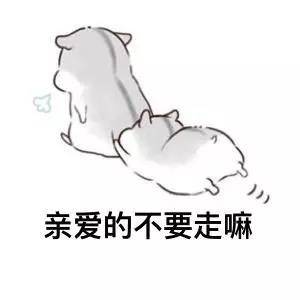 情侣聊天必备！软萌小兔几表情包合集