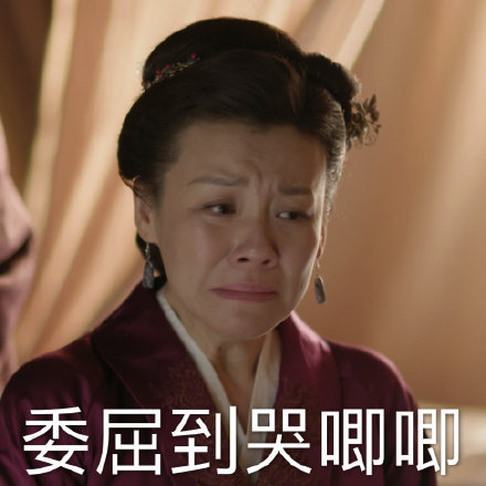 《知否》大娘子表情包合集 聊天斗图都能用
