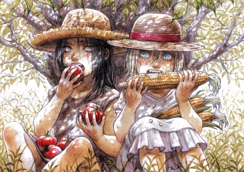 《进击的巨人》赫里斯塔·尤弥尔绝美壁纸合集