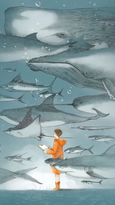 不想换手机壁纸？来这套合集挑个够