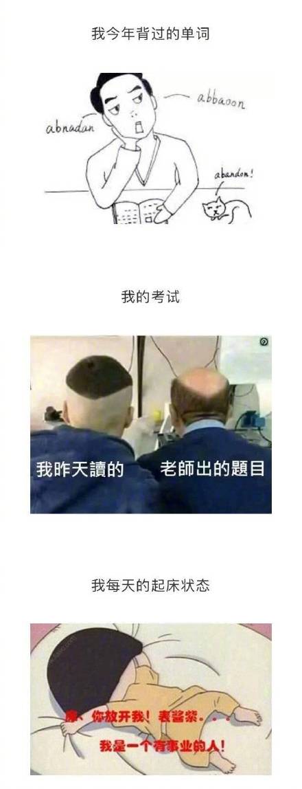 这套人生总结表情包，看完直接戳中打工人泪点