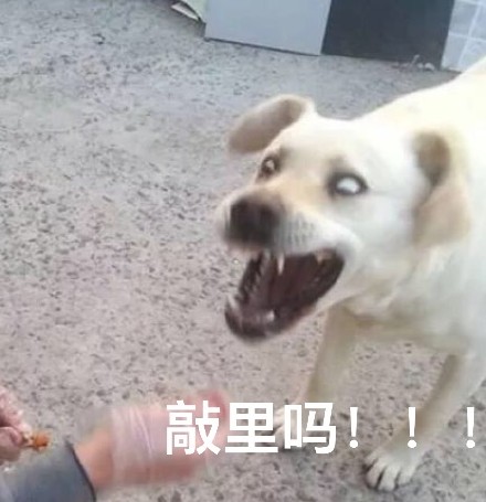 敲里吗！敲里lai lai！这套斗图表情包火了