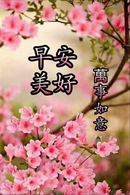 适合中老年人的早安问候表情包合集