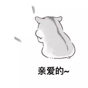 情侣聊天必备！软萌小兔几表情包合集