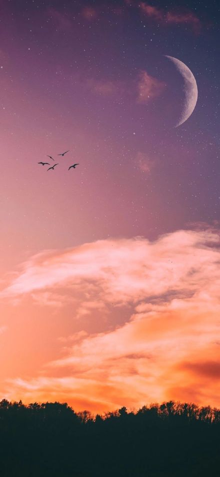 今天整理了一波超适合换的手机壁纸