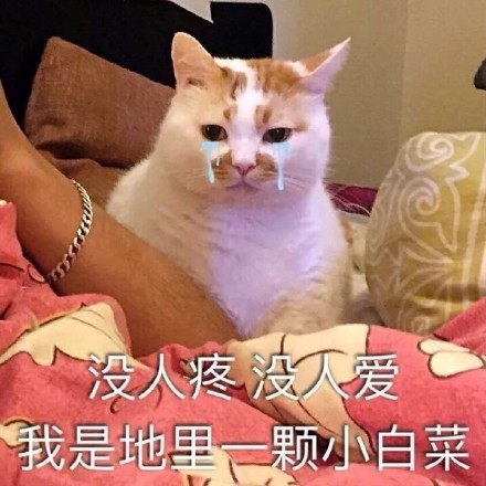 快收好这套永远楼楼表情包