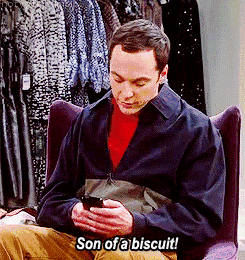 《生活大爆炸》谢耳朵GIF动图表情包合集